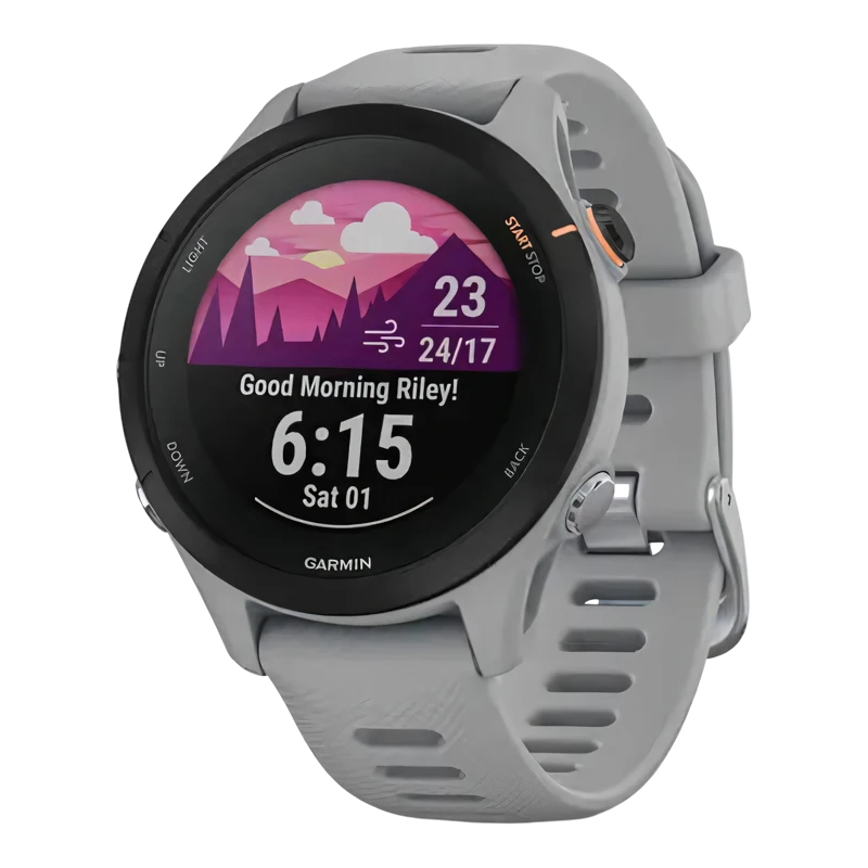 Garmin Forerunner 255S светло-серый